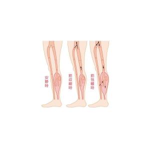 フィジカルメドマー PM-8000 パンツセットの詳細画像5