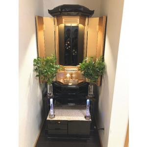 【2本】しきみ 根付き 2本セット一対 生花 ...の詳細画像3