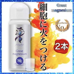 グレートマグネシウム 50ml × 2本 超高濃度マグネシウム ミネラル サプリメント マグネシウム 栄養補給 Great magnesium 栄養補給 ファスティング