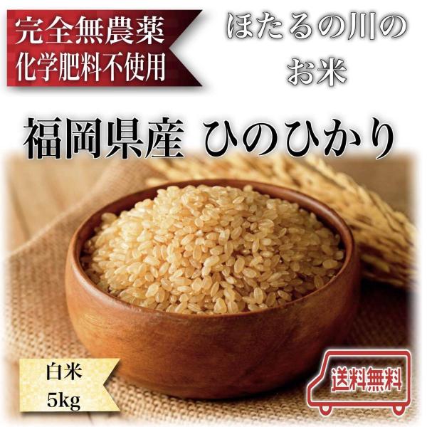 農薬不使用 白米 5kg 令和元年 ひのひかり 送料無料 福岡県産 化学肥料不使用  ほたるの川のお...
