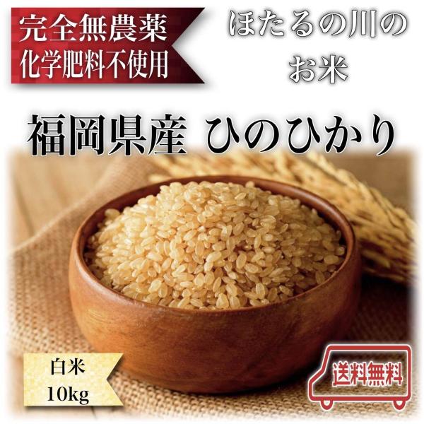 農薬不使用 白米 10kg (5kg×2袋) 令和元年 ひのひかり 送料無料 福岡県産 化学肥料不使...