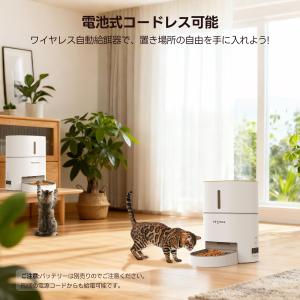 【WIFI操作バージョン】PETTENA 自動...の詳細画像2