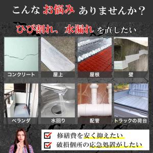 補修テープ 超強力 防水 ブチルテープ 2個 ...の詳細画像1