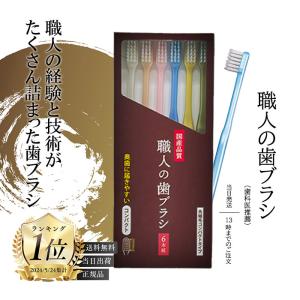 磨きやすい歯ブラシ 極 ふつう LT-53 ( 6本入 ) : 爽快ドラッグ - 通販