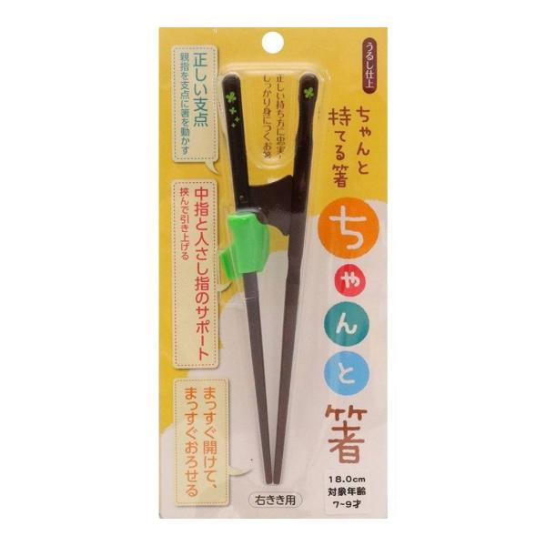 イシダ ちゃんと箸 きちんと箸 子供用 子ども こども 右利き お箸 箸 18cm