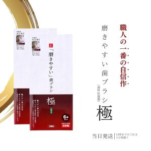 歯ブラシ職人 田辺重吉考案 磨きやすい 歯ブラシ 極 ふつう 6本 2個