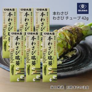 田丸屋本店 静岡本わさび 瑞葵 42g チューブ わさび 調味料 5個