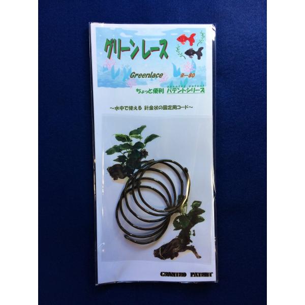グリーンレース　B-80