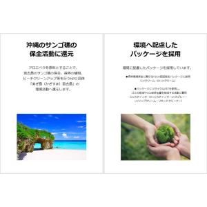 日焼け止め スティック サーフィン ブリサマリ...の詳細画像5