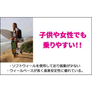 SECTOR9 セクターナイン DROPPER...の詳細画像4