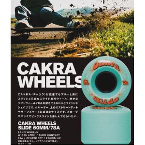 CAKRA サーフスケート スライド専用ウィー...の詳細画像4