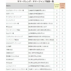 GALLIUM ガリウム SUMMER Blo...の詳細画像1