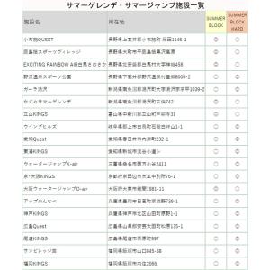 GALLIUM ガリウム SUMMER Blo...の詳細画像2