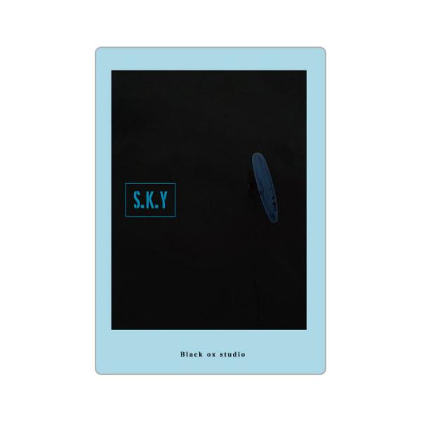 サーフィン DVD S.K.Y スカイ Black Ox studio SURF