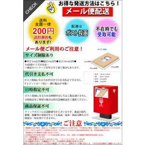 WAHOO ミニ ソーラーレズ ミニ クリアー...の詳細画像4