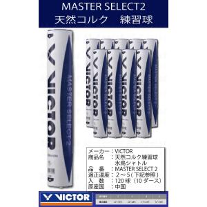VICTOR VSMS2 MASTER SEL...の詳細画像1