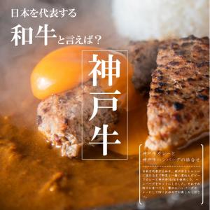 神戸ビーフ ハンバーグの商品一覧 肉惣菜 料理 惣菜 料理 食品 通販 Yahoo ショッピング