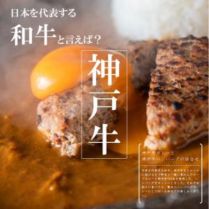 プレゼント おすすめ 2023 肉 ハンバーグ カレー 北海道産 神戸牛 内祝い お返し 結婚式 引き出物 入学 快気祝い 出産内祝い 贈答品