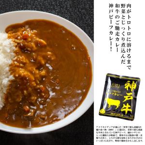 神戸ビーフ 惣菜 カレー レトルトカレー パッケージ種類 レトルト食品 の商品一覧 カレー ハヤシライス 惣菜 料理 食品 通販 Yahoo ショッピング