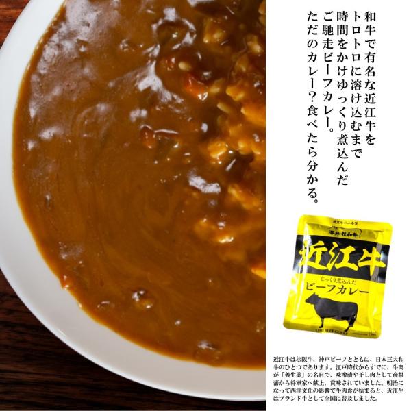 カレー レトルト 高級 牛肉 牛 ご当地 近江牛 パウチ 160g 10パック入