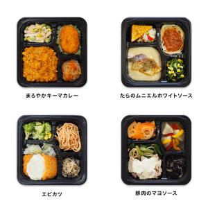 健康管理食 自由に選べる10食セット 弁当 宅...の詳細画像1