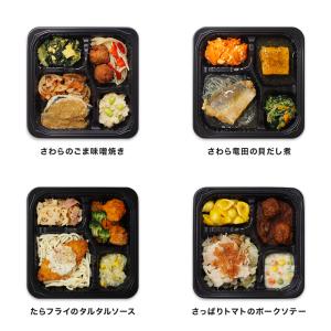 健康管理食 自由に選べる10食セット 弁当 宅...の詳細画像5