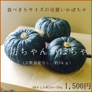 北海道産坊ちゃんかぼちゃ （約3ｋｇ）｜food-link