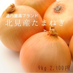 北見産たまねぎ（9ｋｇ入）｜food-link