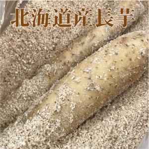 訳あり北海道産長いも（10ｋｇ入）