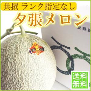 フードリンク北海道 規格ランク指定無し 共撰品 夕張メロン Yahoo ショッピング