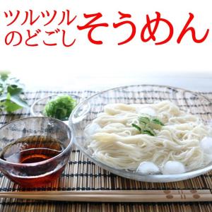 そうめん 蔵王の白雪そうめん ツルツルのどごしが自慢のそうめん 200g×15束 30人前 　茹で時間約４分