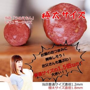 カルパス 訳あり 極太 うめえもん 200g ...の詳細画像2