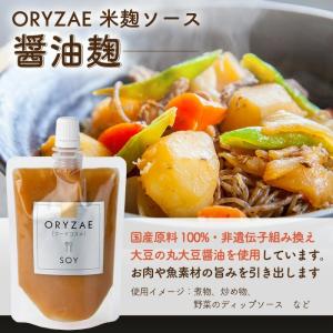 オリゼ 塩麹 醤油麹 甘麹 3本セット 各18...の詳細画像2