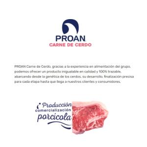 輸入冷凍豚バラスライス 2mm 500g 業務...の詳細画像3