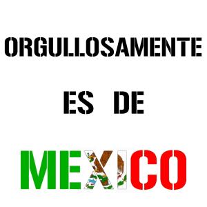 輸入冷凍豚バラスライス 2mm 500g 業務...の詳細画像5