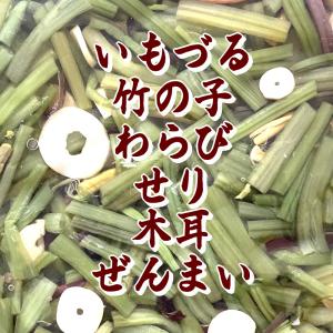 岐阜白川郷特選山菜 1kg 秋の味覚 山菜そばの詳細画像1