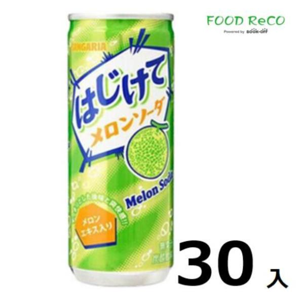 訳あり30本入 はじけてメロンソーダ250ml 炭酸ドリンク