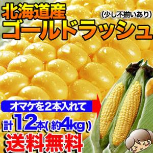 とうもろこし トウモロコシ 北海道産 ゴールドラッシュ M〜2L混合 10本+2本の計12本 約4kg前後 不揃い