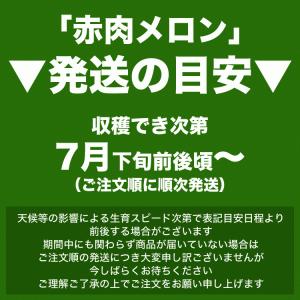 2026年収穫予約 メロン 赤肉 北海道産 約...の詳細画像1