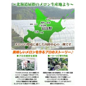 2026年収穫予約 メロン 赤肉 北海道産 約...の詳細画像2