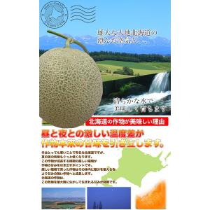 2026年収穫予約 メロン 赤肉 北海道産 約...の詳細画像3