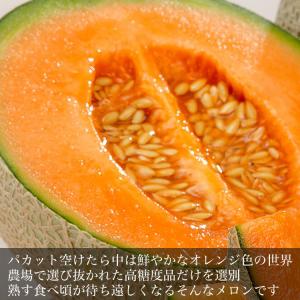 2026年収穫予約 メロン 赤肉 北海道産 約...の詳細画像4