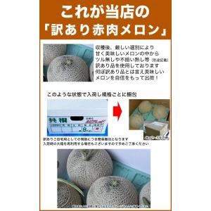 2026年収穫予約 メロン 赤肉 北海道産 約...の詳細画像5