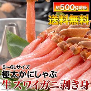 かにしゃぶ　かに鍋　ずわいがに　特大ズワイガニの太足だけを厳選した本ズワイ太足剥き身約500g