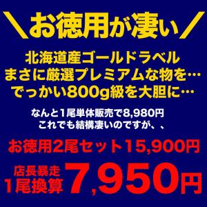 在庫限り最安値に挑戦 超特大 毛ガニ 800g...の詳細画像1