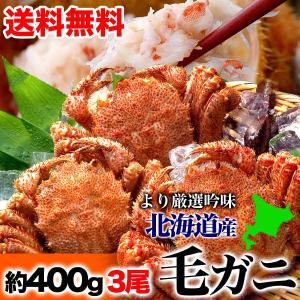 北海道/オホーツク毛ガニ 大 約400〜500g 3尾 ボイ...