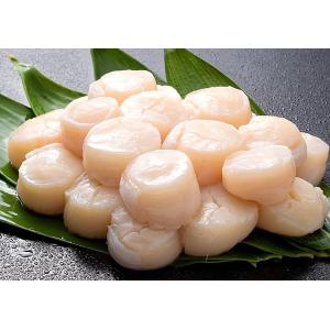 【特大】ホタテ 貝柱 500g 前後 (15〜...の詳細画像5