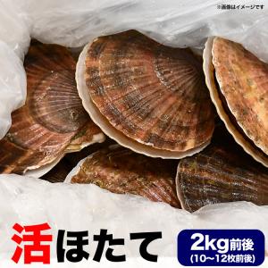 一時的禁漁中で発送まで2〜3週間前後 ホタテ 活...の商品画像