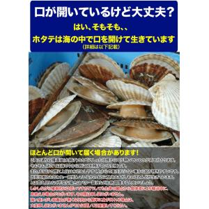 一時的禁漁中で発送まで2〜3週間前後 ホタテ ...の詳細画像4