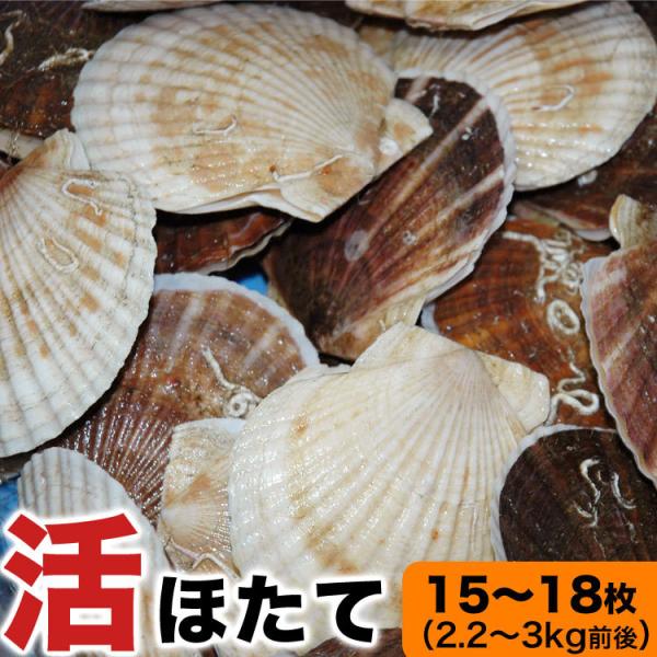 活 ホタテ 貝付き 北海道産 15〜18枚前後 2.2〜3kg前後分 殻付き 生き ほたて 帆立貝 ...